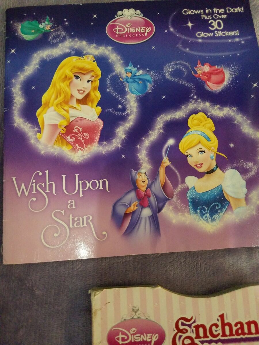 Disney princess lot books braclets purse doll beach ball fan coloring book charm