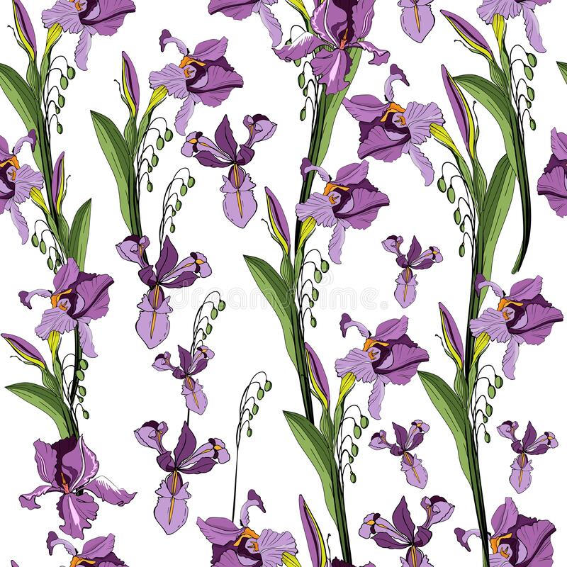 Iris Germanica Stock Illustrations – 64 Iris Germanica Stock Illustrations,  Vectors & Clipart - Dreamstime