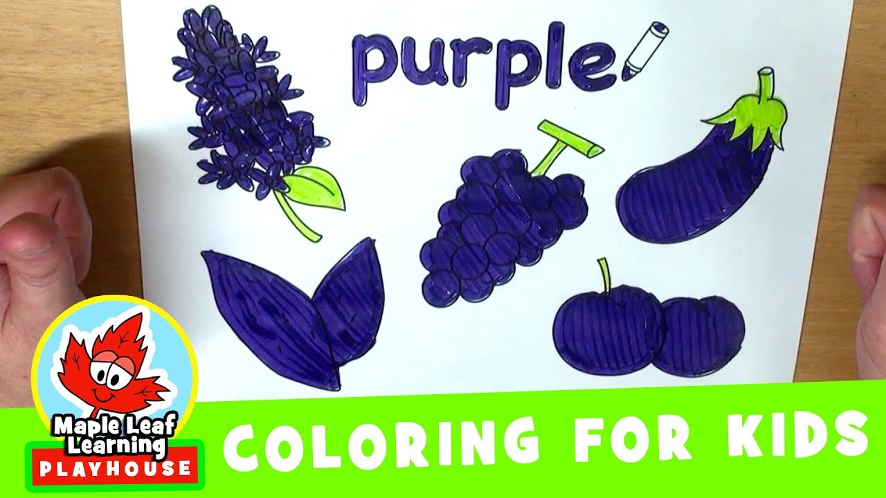 Purple coloring worksheet maple leaf learning library