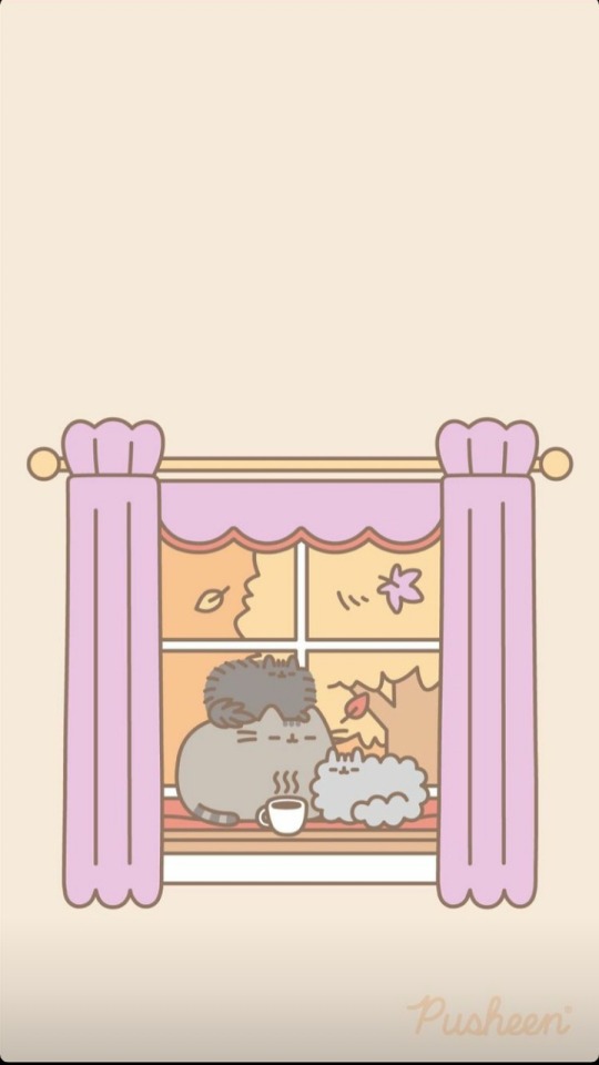 Pusheen Pusheen Zoom Backgrounds