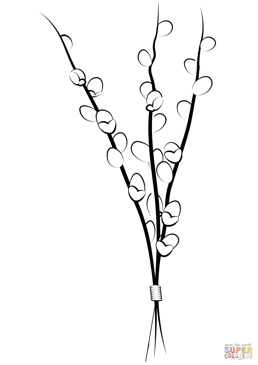 Willow catkin branches coloring page free printable coloring pages