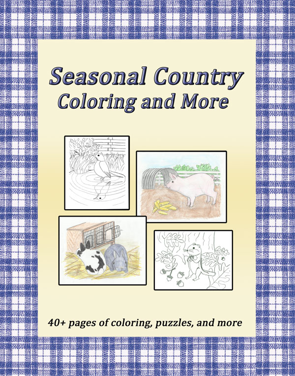 Country kitchen pleasant coloring page