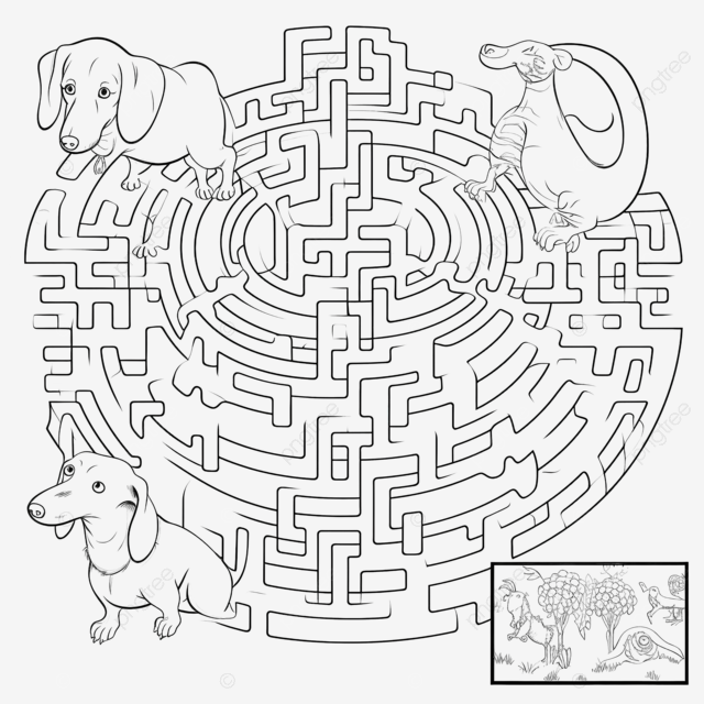 Maze with dachshund dog and the dog show coloring page maze maze game labyrinth png transparent image and clipart for free download