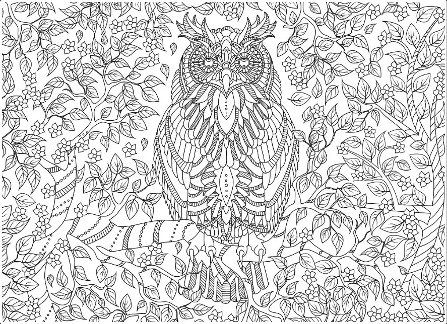 Jigsaw puzzle color me owl pieces new paint it yourself stress relief