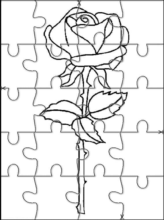 Rose flower jigsaw puzzle coloring page