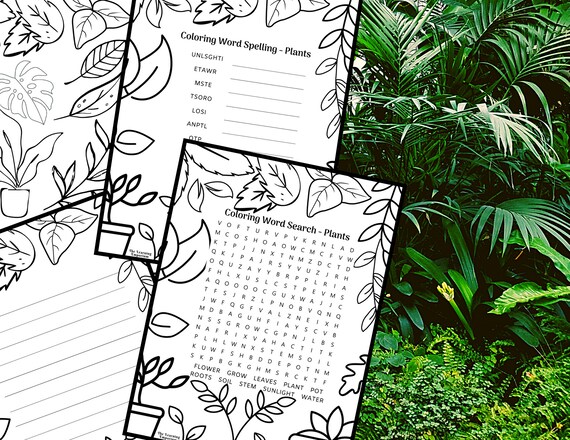 Plants printable page bundle coloring word search activity sheets coloring sheets coloring pages puzzles word searches