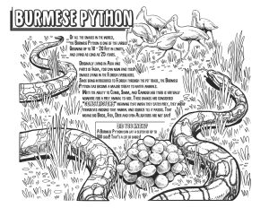 New invasive reptile coloring books from the uf croc docs