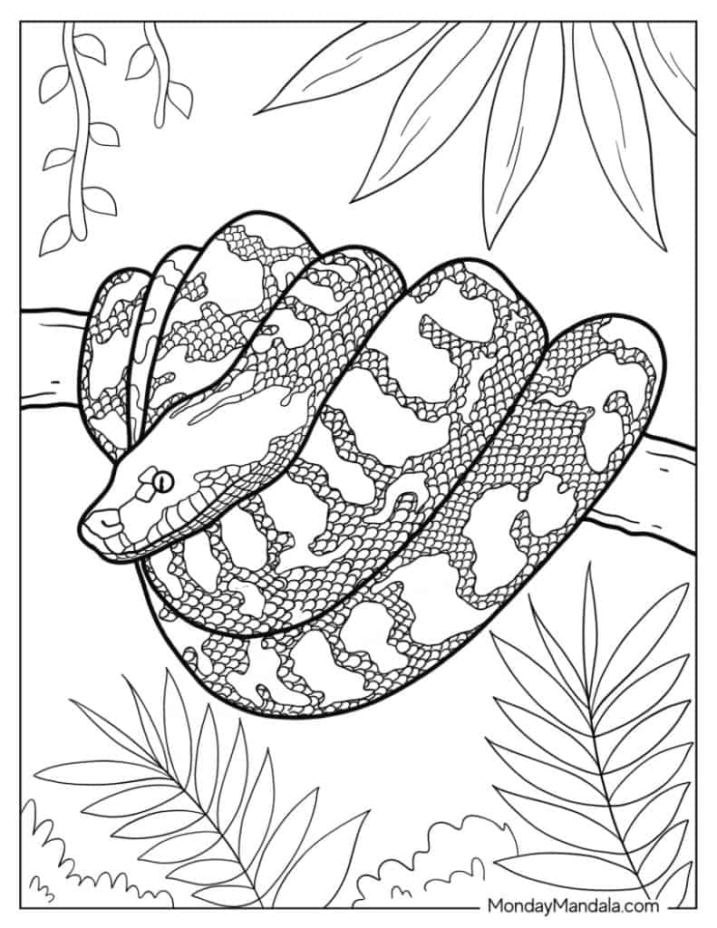 Snake coloring pages free pdf printables