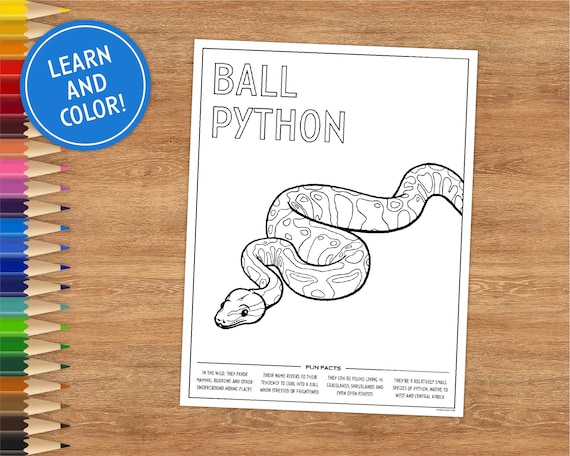 Printable coloring page ball python includes fun facts coloring pages for kids coloring pages printable digital download snake