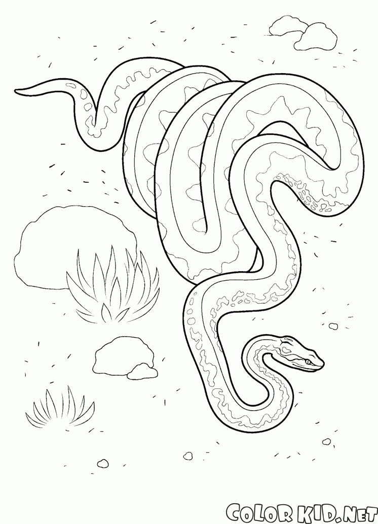 Coloring page