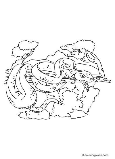 Python coloring place