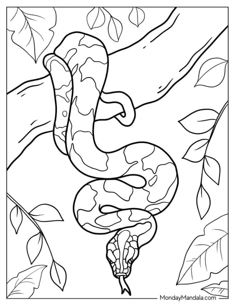 Snake coloring pages free pdf printables