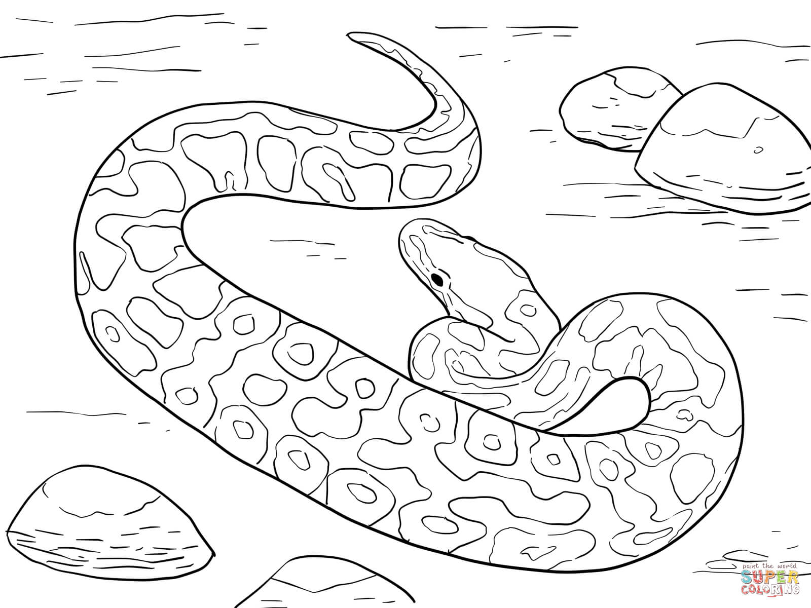 Ball python coloring page free printable coloring pages