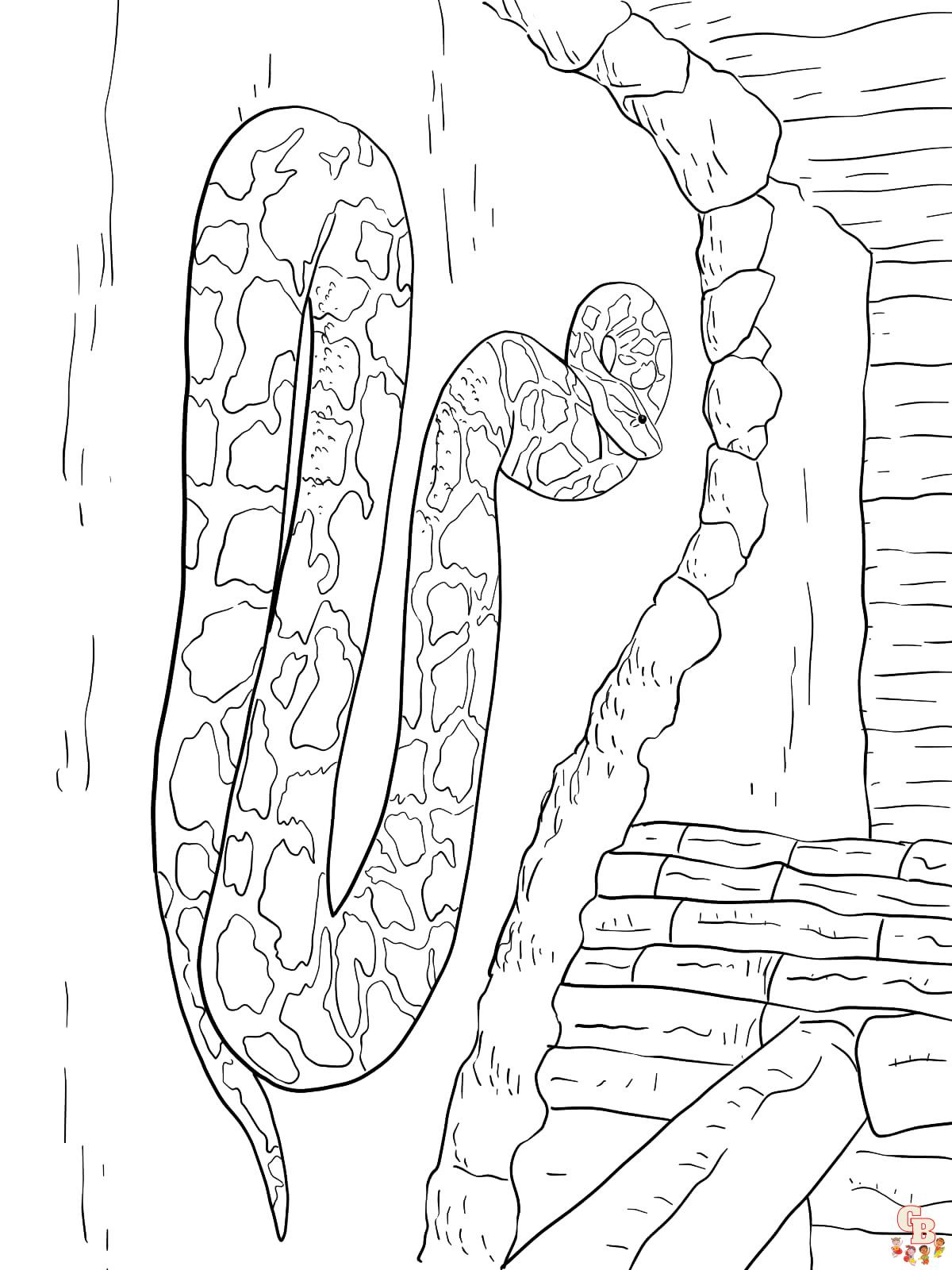 Anaconda coloring pages