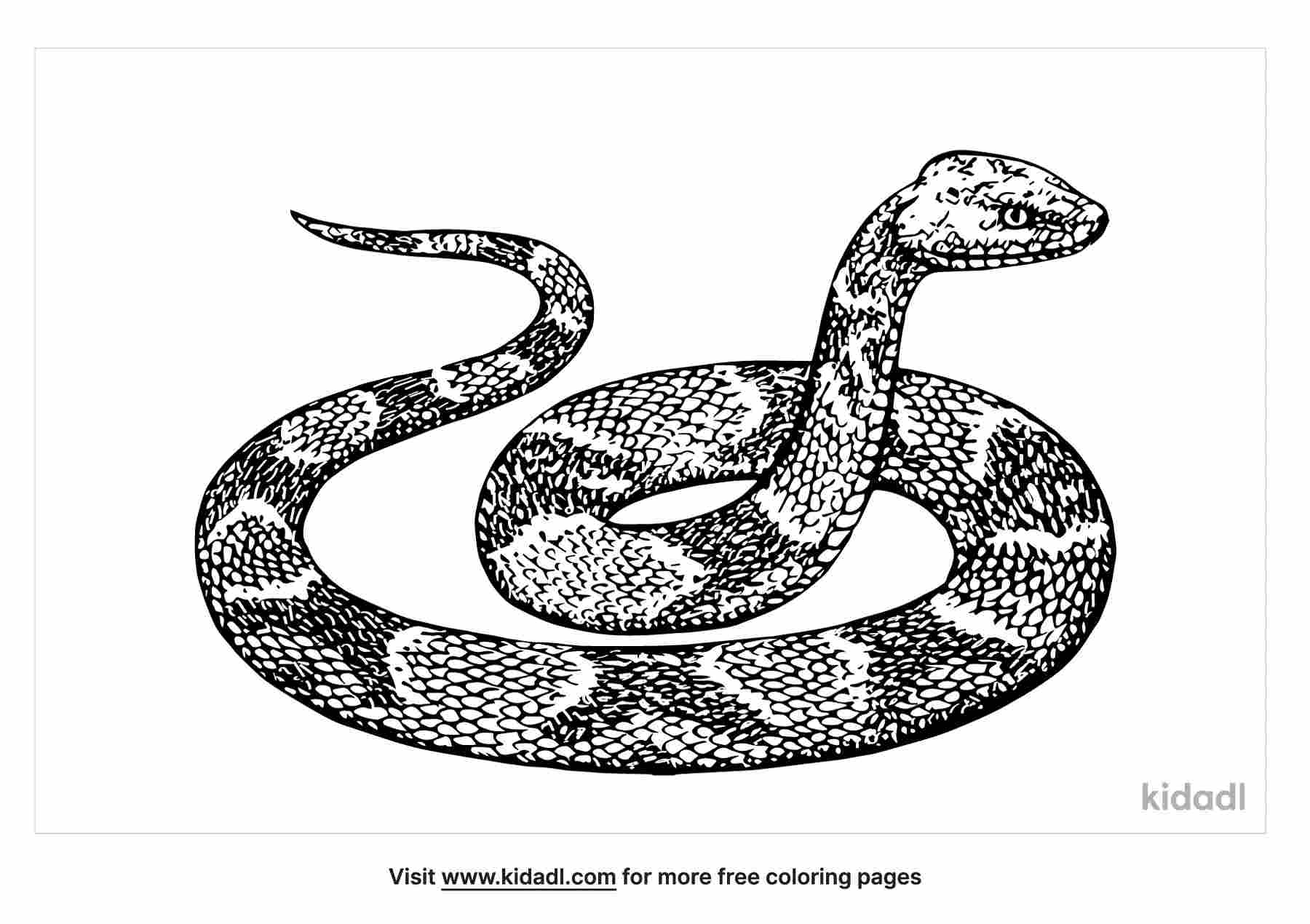 Free python coloring page coloring page printables