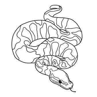 Snake coloring page images