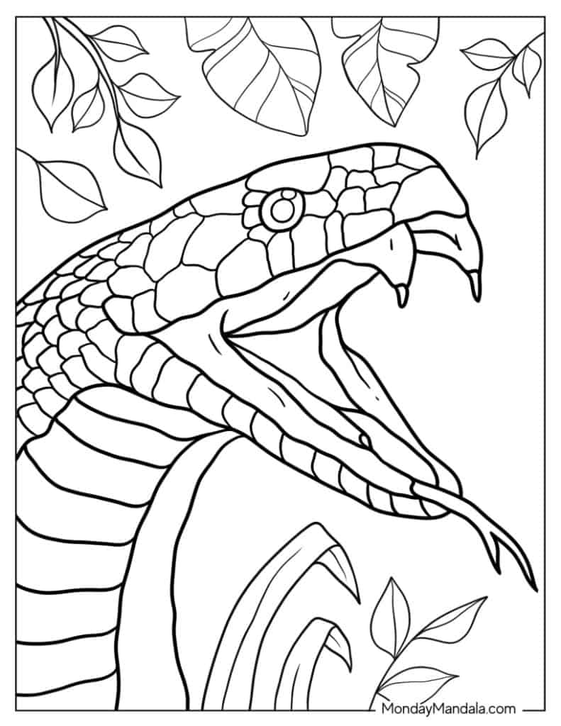 Snake coloring pages free pdf printables