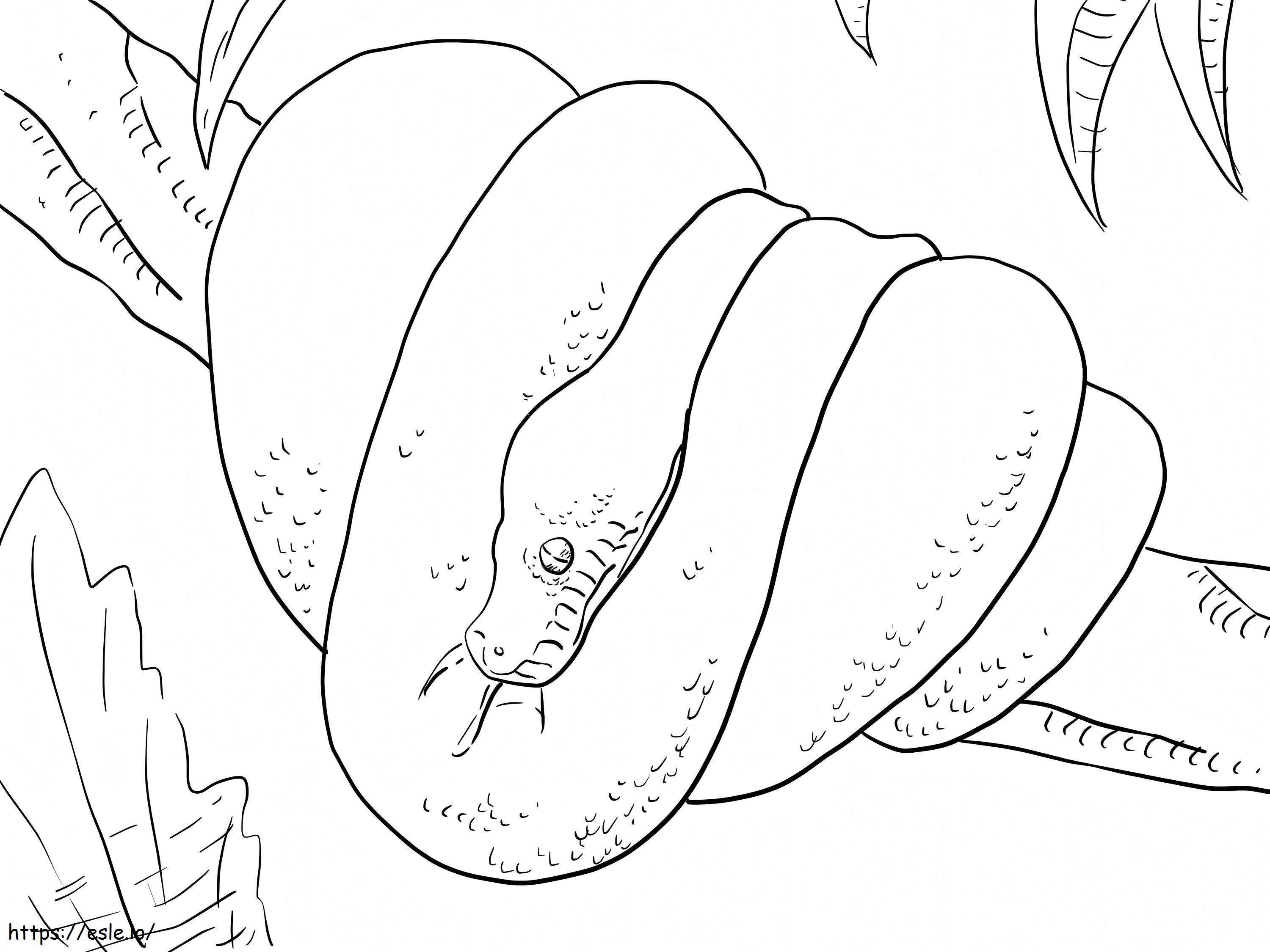 Python curled up on a tree branch coloring page