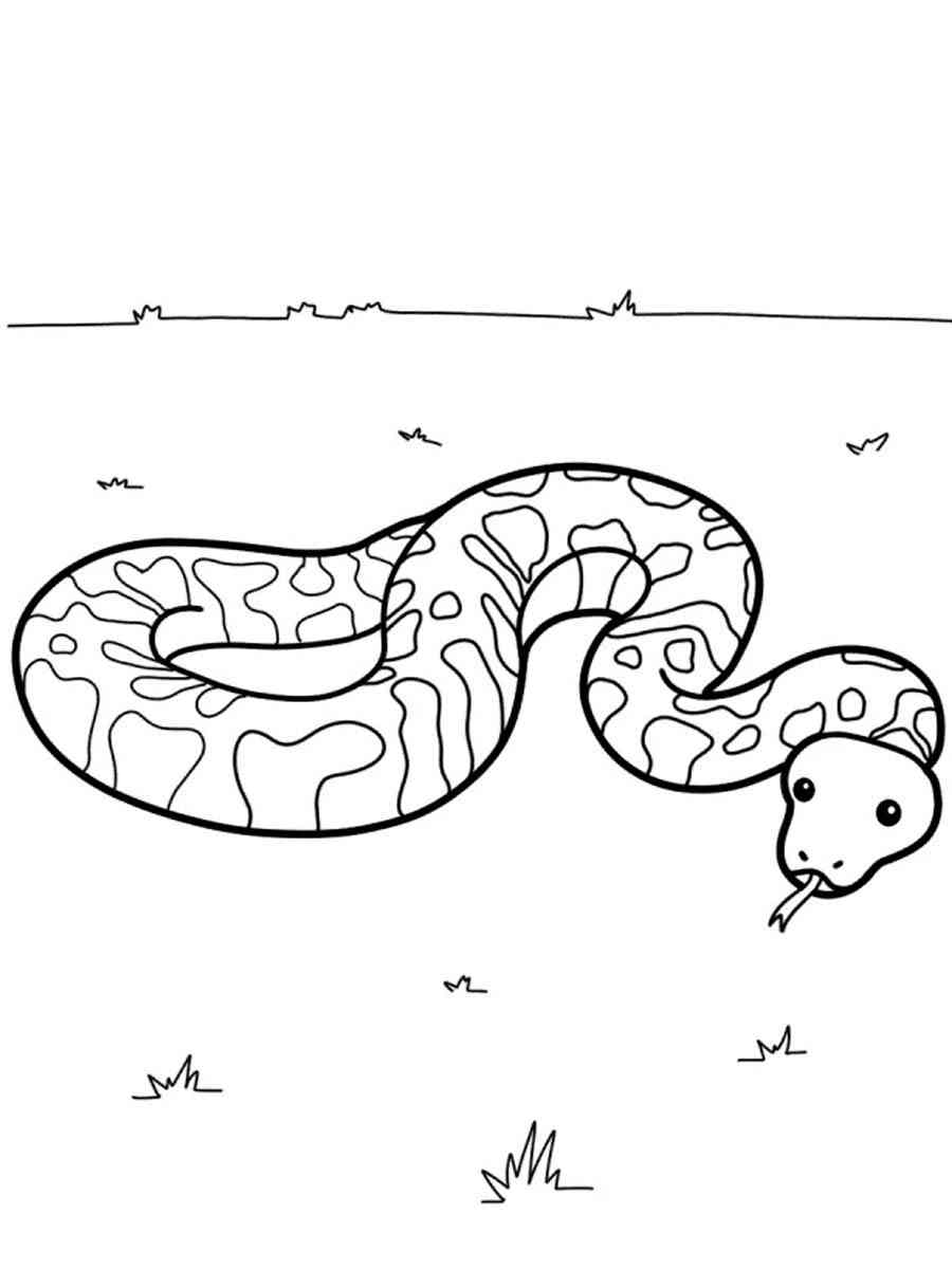 Python coloring pages