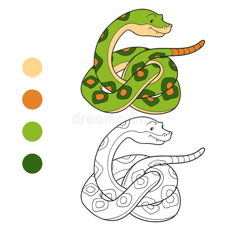 Coloring book snake stock vector illustration of python