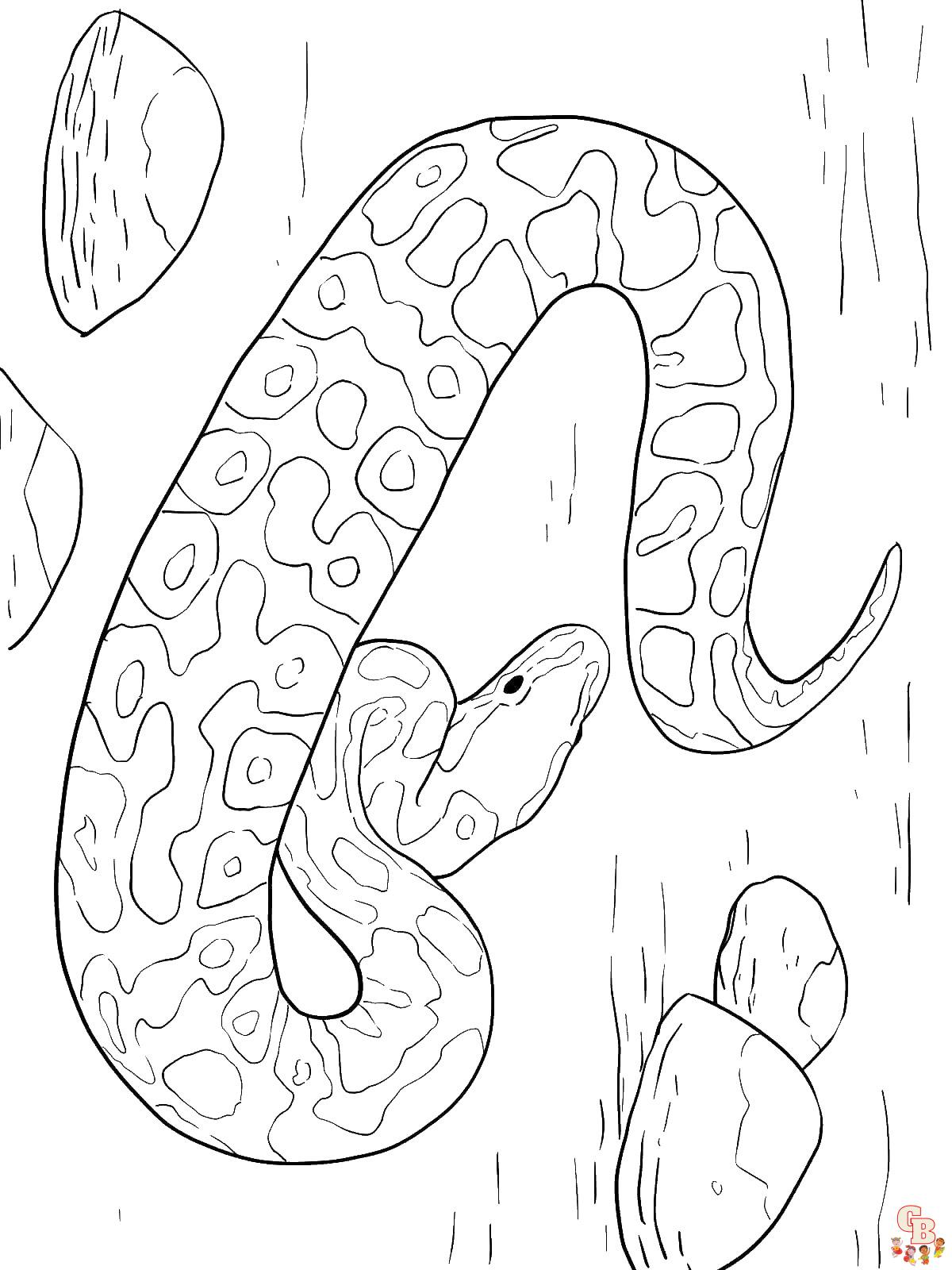 Anaconda coloring pages