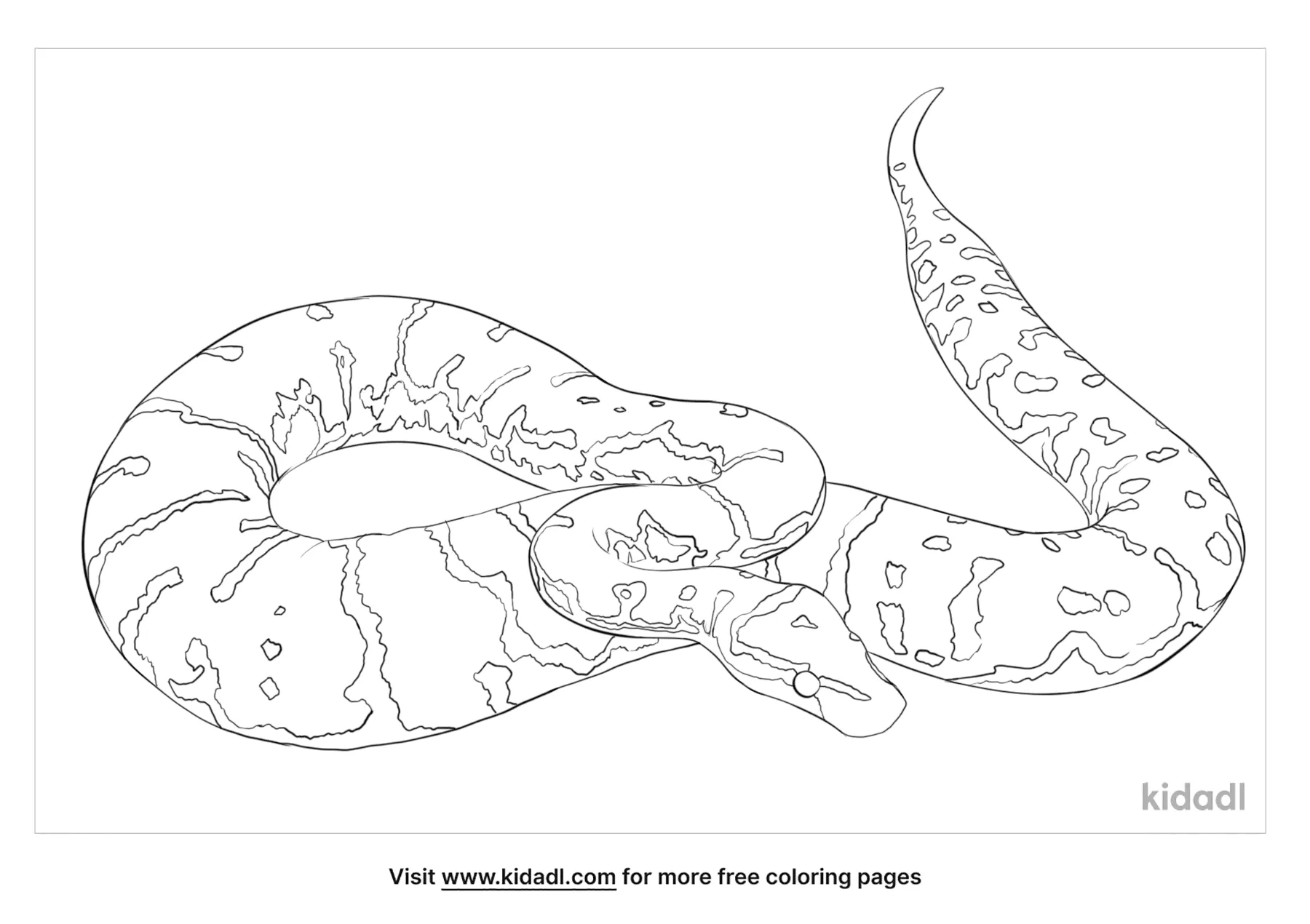 Free angolan python coloring page coloring page printables