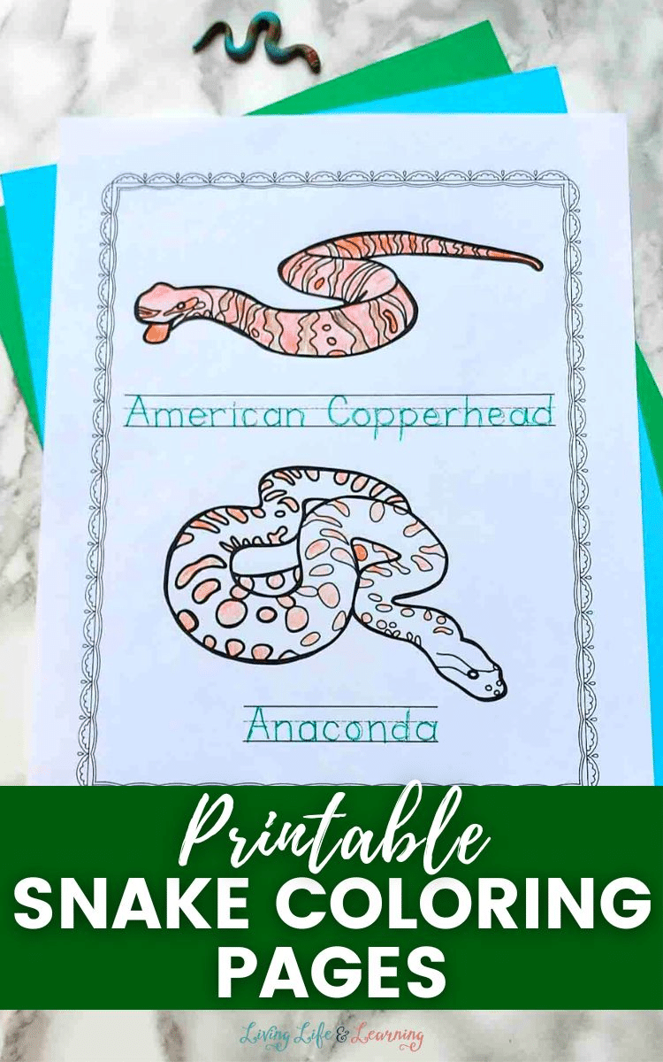 Snake coloring pages free homeschool deals