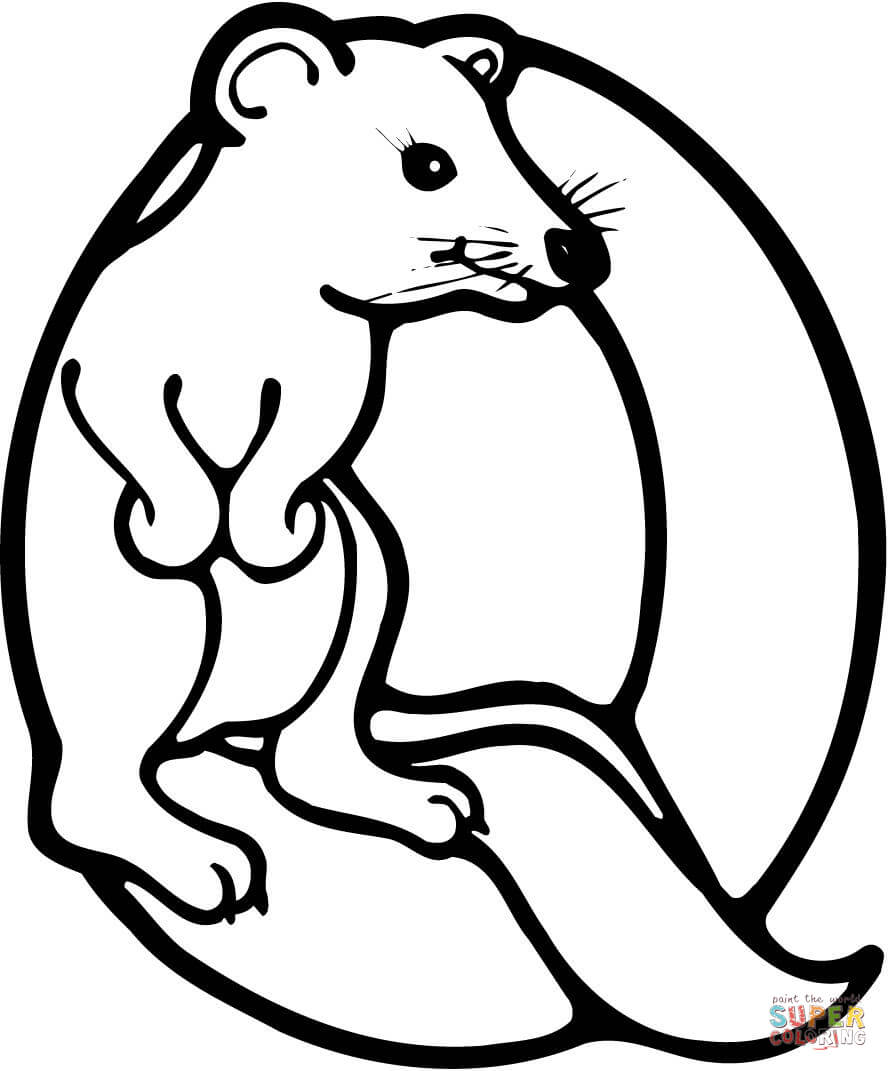 Letter q is for quokka coloring page free printable coloring pages