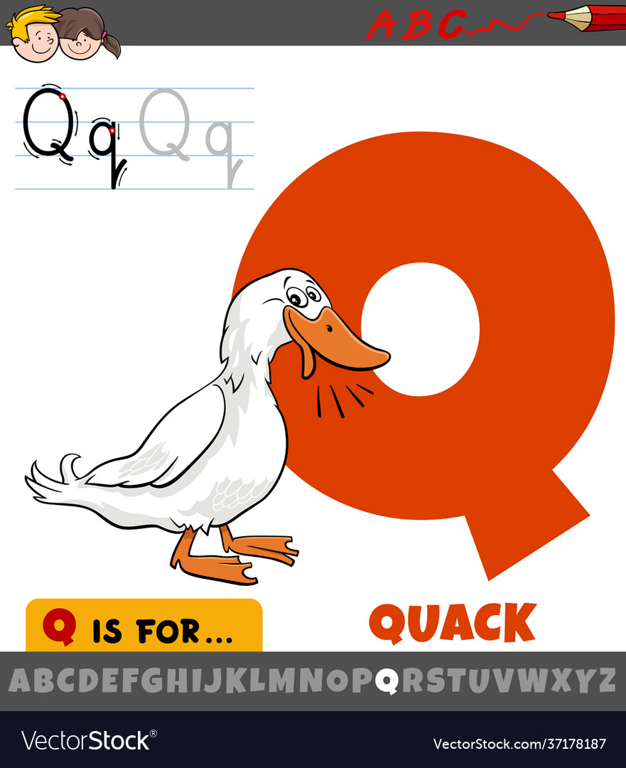 Letter q from alphabet with quack duck sound vector image