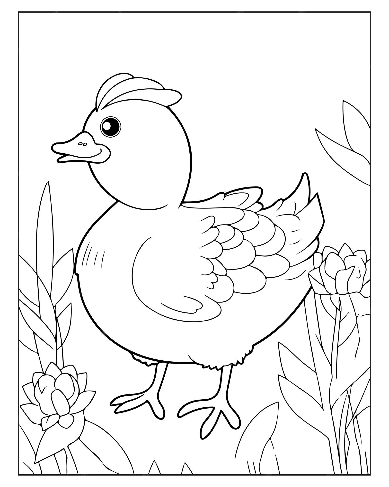 Premium vector cute bird coloring pages for kids bird coloring pages