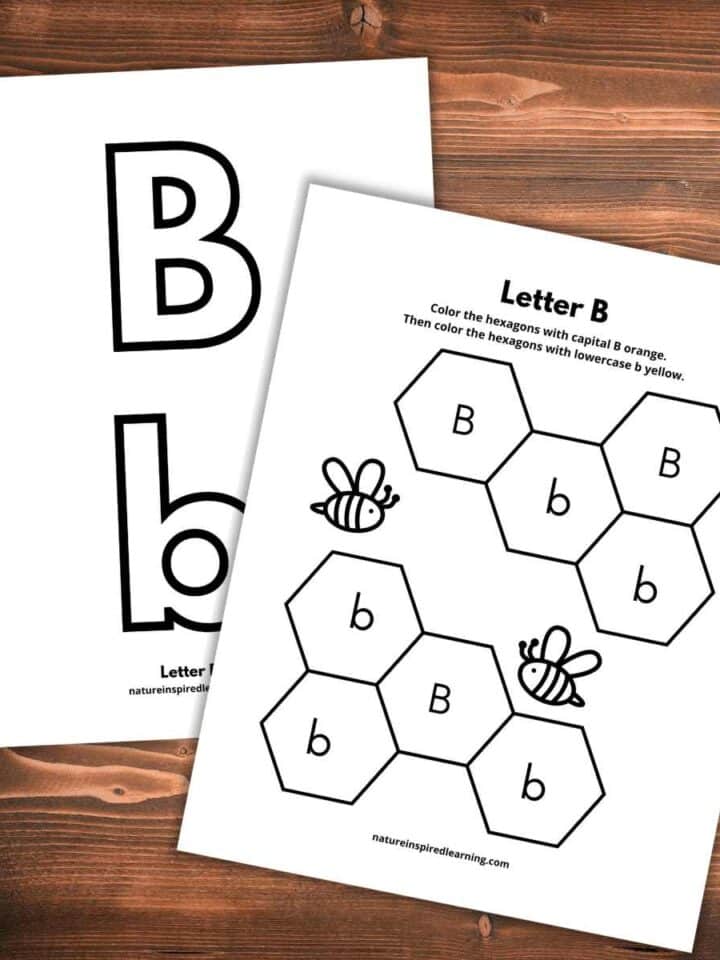 Free letter q tracing worksheets