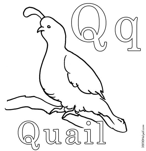 Kindergarten activities the letter q super coloring pages coloring worksheets for kindergarten coloring pages