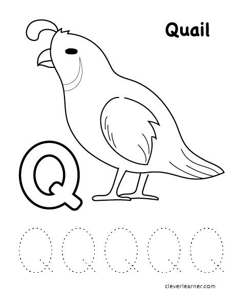 Q stands for quail color sheets for children alphabet worksheets preschool preschool worksheets alphabet activities preschool