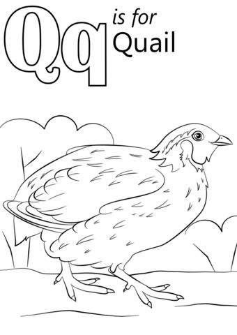 Letter q is for quail coloring page free printable coloring pages abc coloring pages alphabet coloring pages alphabet coloring