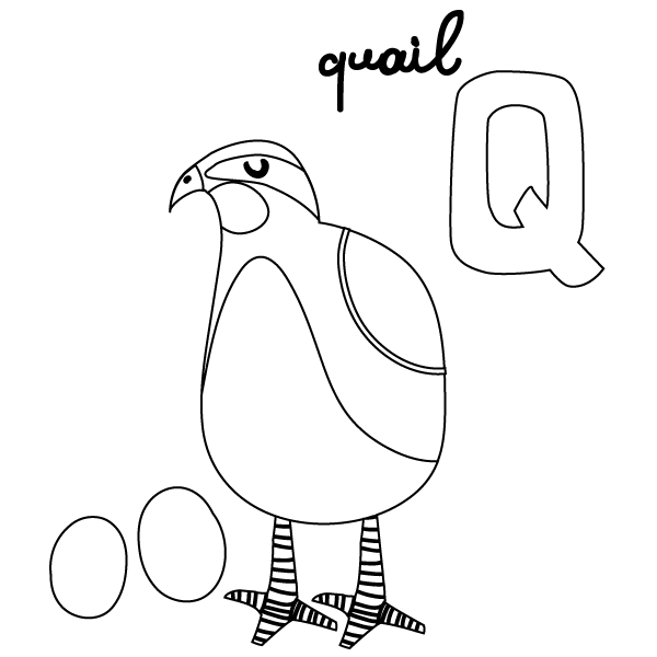 Q for quail coloring page â