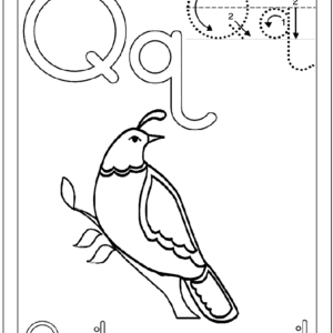 Letter q coloring pages printable for free download