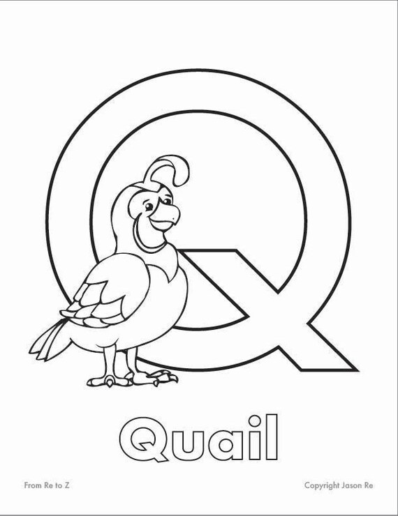 Q is for quail abcs coloring page alphabet printable digital download letter q classrooms and children of all ages