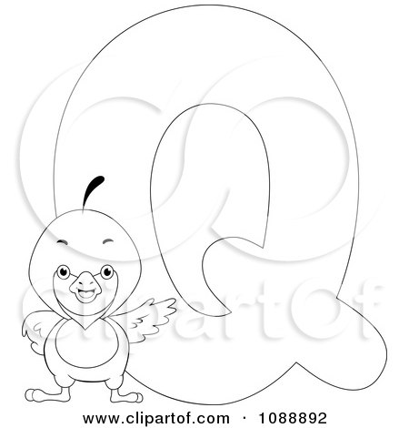 Clipart outlined q is for quail coloring page