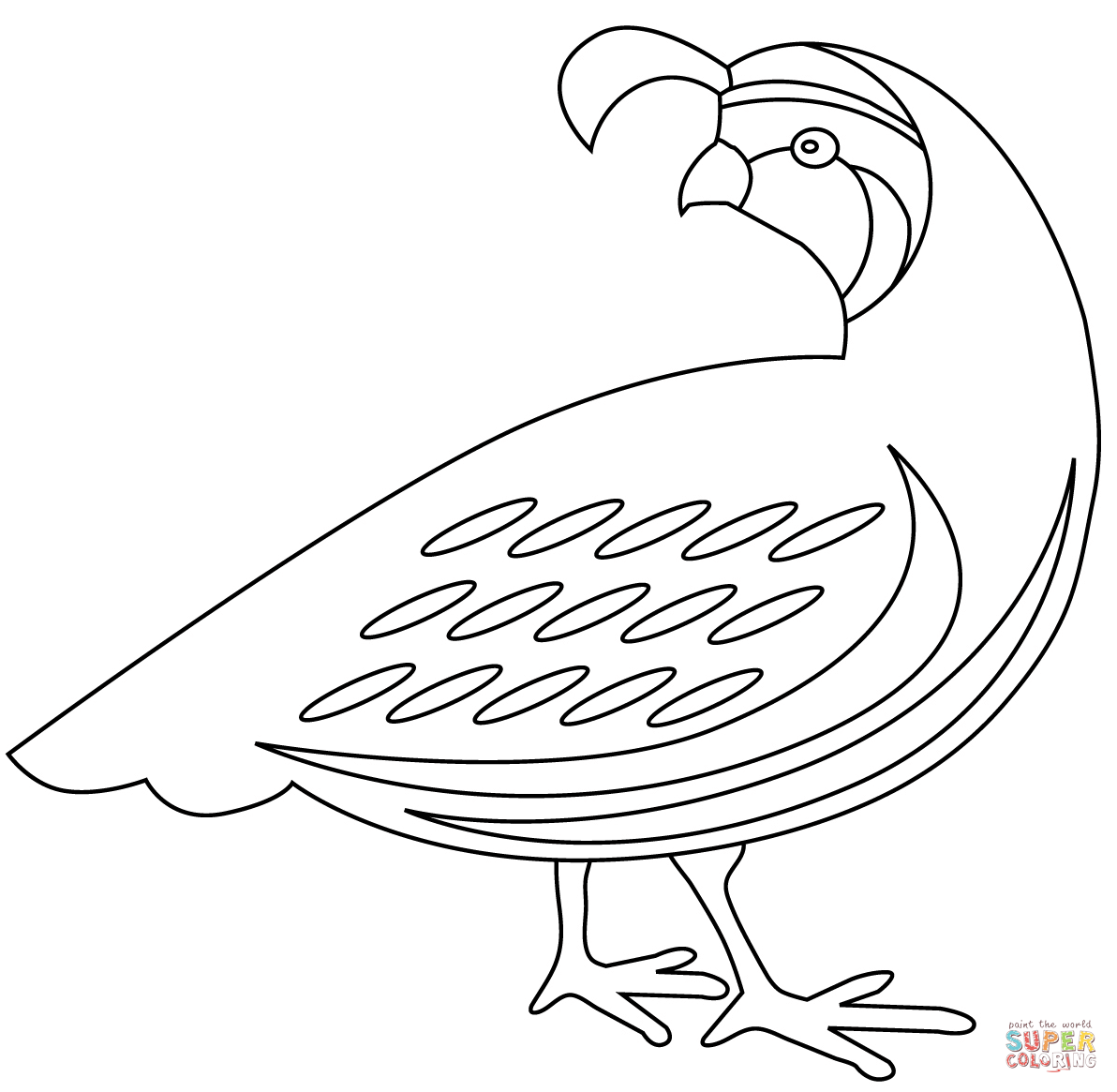 Quail coloring page free printable coloring pages