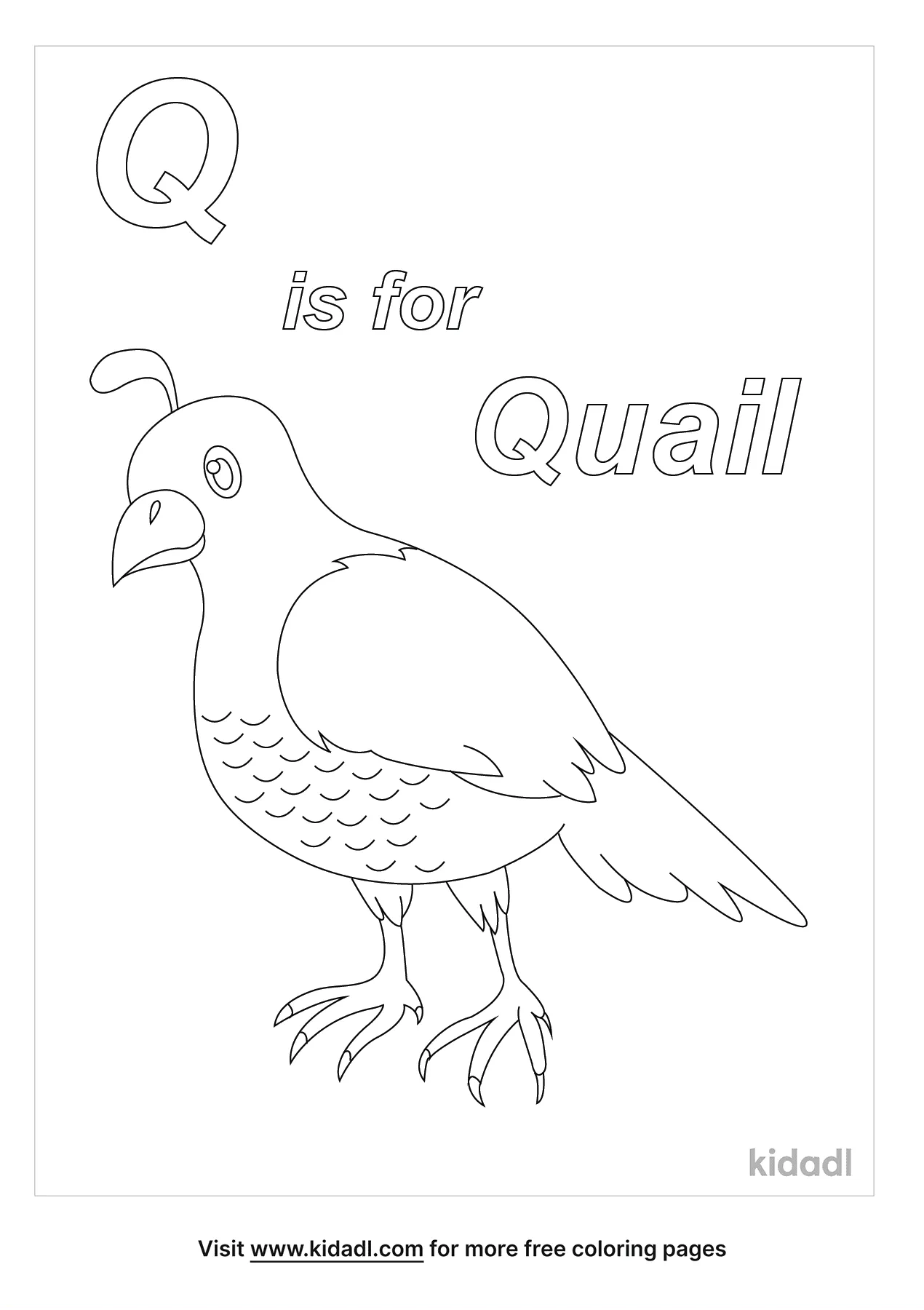 Free q is for quail coloring page coloring page printables