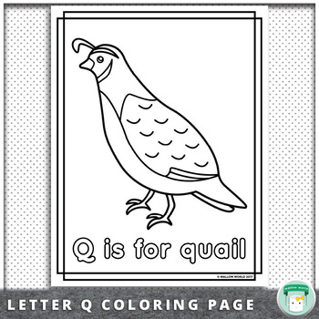 Animal alphabet coloring pages q is for quail by mallow world tpt