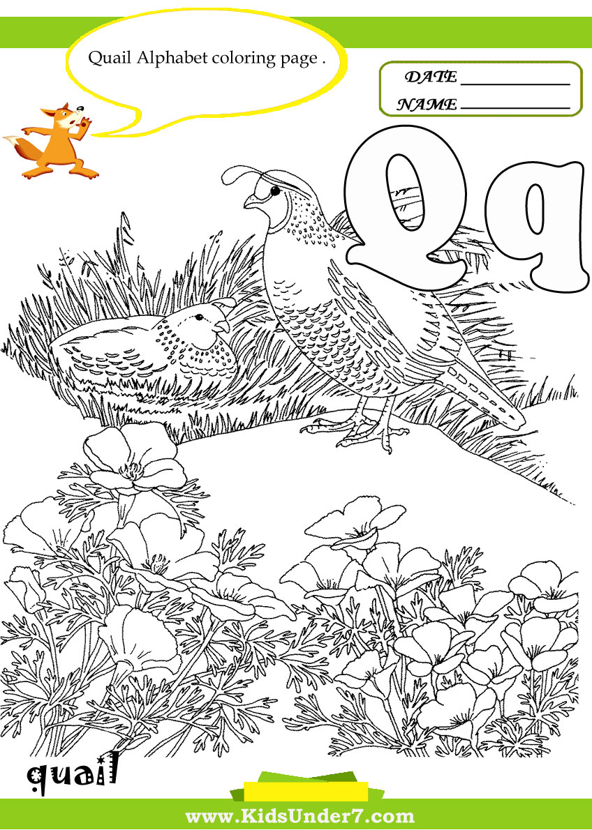 Kids under letter q worksheets and coloring pages