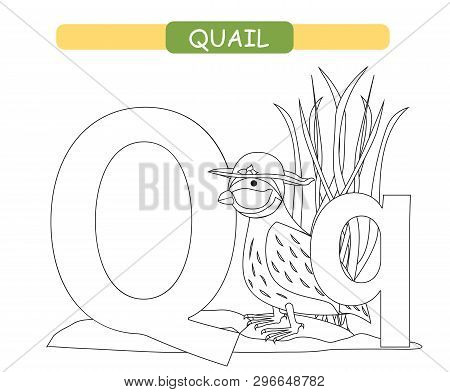 Letter q funny vector photo free trial bigstock