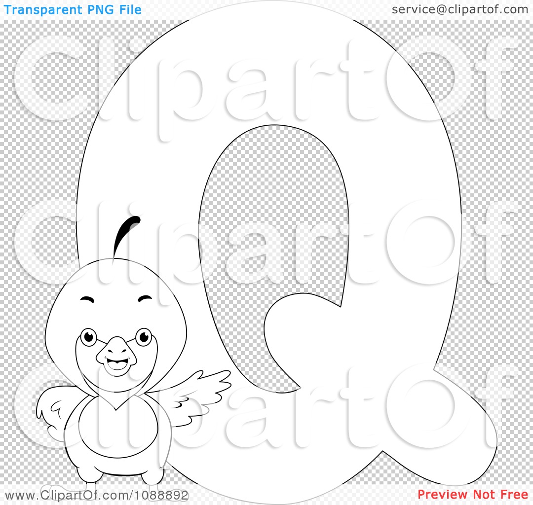 Clipart outlined q is for quail coloring page