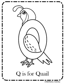 Q is for quail