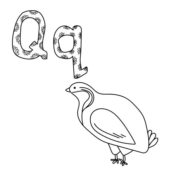 Coloring book quail stock vector royalty