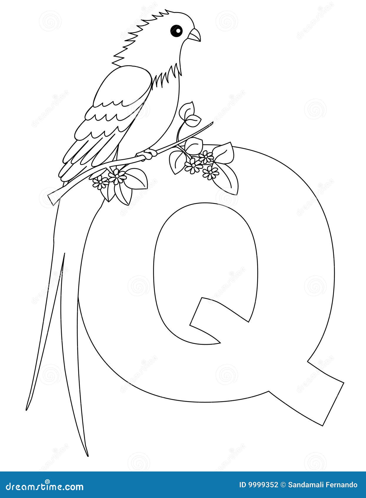 Animal alphabet q coloring page stock vector