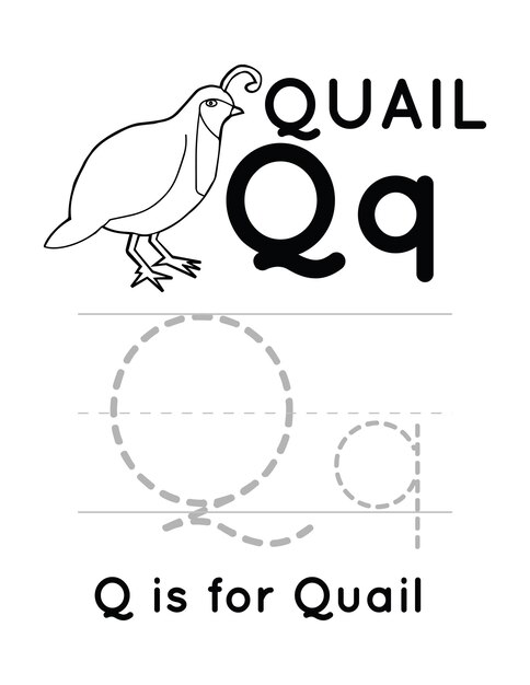 Page quail coloring sheet images