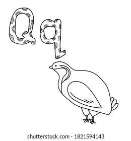 Coloring page study letter q outline stock vector royalty free