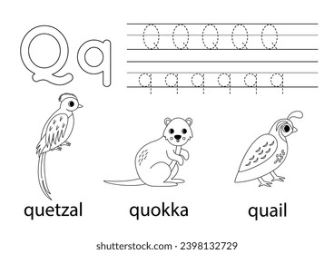 Q worksheets images stock photos d objects vectors